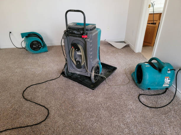 Best Flooded house restoration  in Waldorf, MD