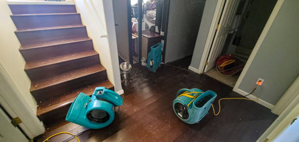 Best Mold removal after water damage  in Waldorf, MD
