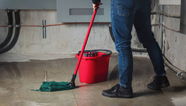 Best Professional water damage repair  in Waldorf, MD