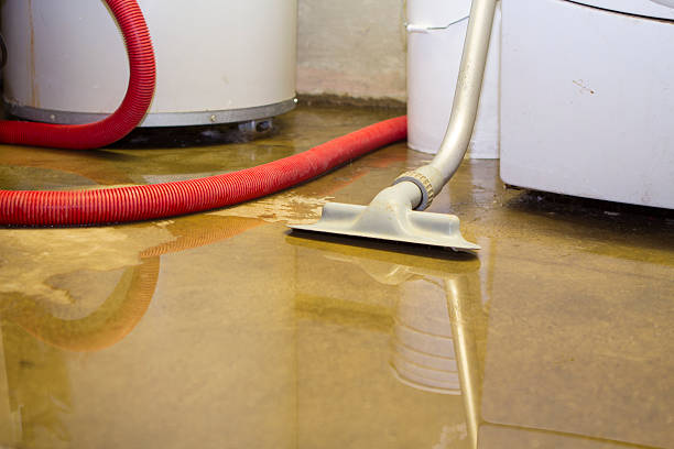 Best Water damage cleanup near me  in Waldorf, MD