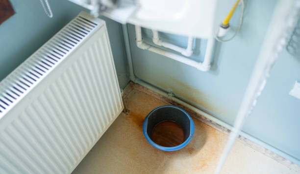 Best Water damage restoration services  in Waldorf, MD