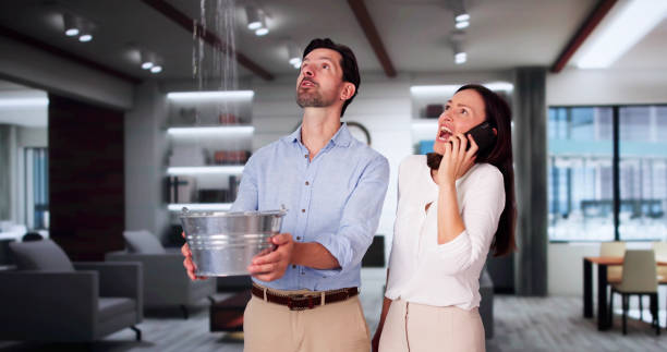 Best Local water damage restoration  in Waldorf, MD
